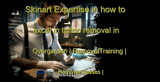Skinart Expertise in how to excel in tattoo removal in Overgarden | RemovalTraining | RemovalClasses | SkinartTraining-Sweden